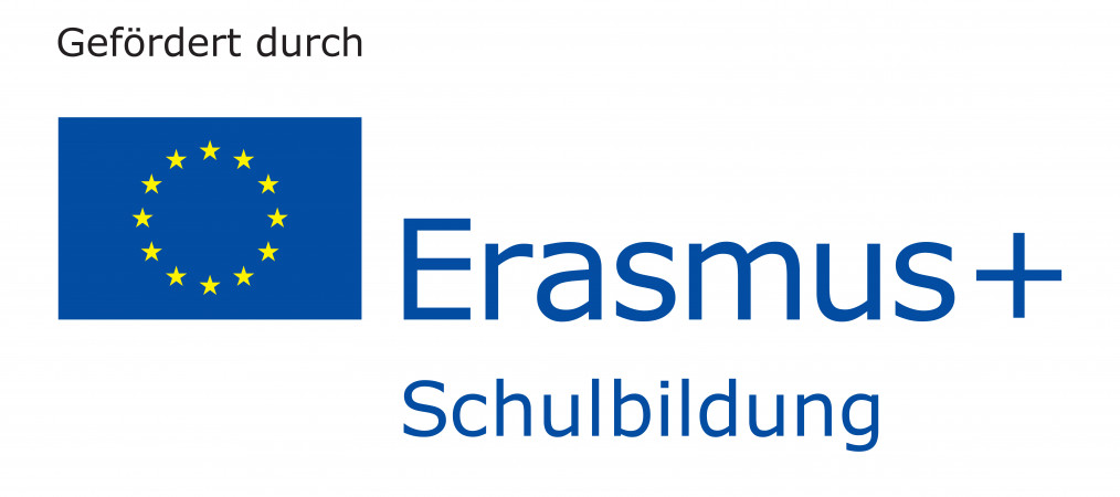 Erasmus-Team und SV nehmen per Livestream am SchülerKlimaGipfel 2020 teil